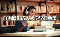 网上成人大学学习效果好吗？