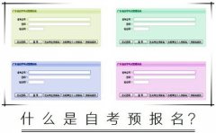 什么是自考预报名？